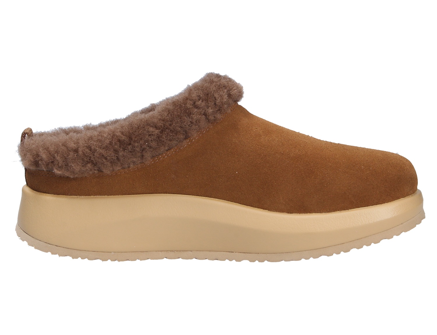 Riga brown II
